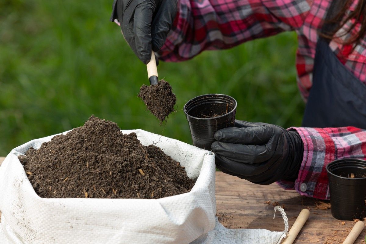 Butuh Media Tanam? Begini Cara Membuat Cocopeat Dari Sabut Kelapa